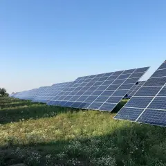 Rząd paneli fotowoltaicznych na tle błękitnego nieba. Widać, że każdy panel jest zamontowany na trackerze, który pozwala na optymalne ustawienie względem słońca.