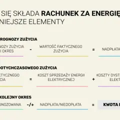 Rozliczenie rachunku za energię: prognoza vs. faktyczne zużycie, koszty sprzedaży i dystrybucji. W razie wątpliwości, urząd regulacji energetyki rozpatrzy skargi.