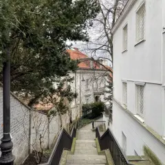 Schody prowadzące do starego domu, gdzie trwa wymiana okien. Widać biały budynek z kratami i drzewa.