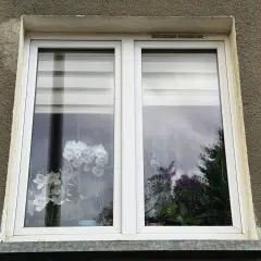 Nowe okna z roletami i kwiatami na parapecie. Warto pomyśleć o dofinansowanie do wymiany okien, by poprawić komfort i estetykę domu.