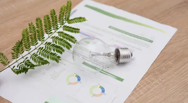 Gałązka paproci i żarówka na papierze z wykresami, sugerujące analizę taryfy C11 Enea i efektywność energetyczną.