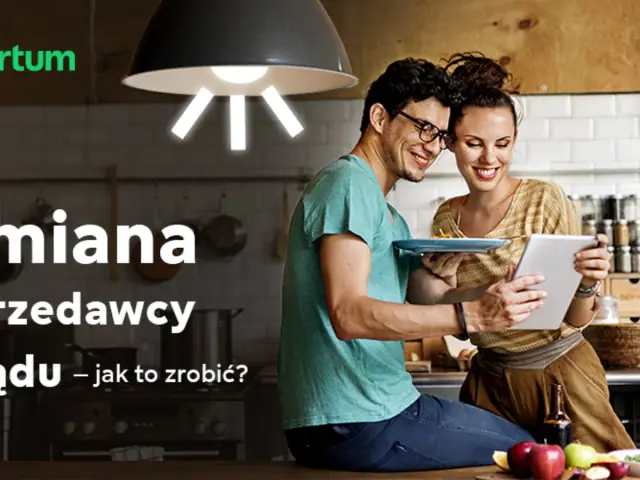 Jak wybrać sprzedawcę prądu i nie przepłacić?